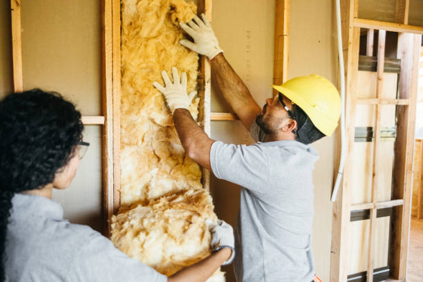 Best Professional Insulation Contractor  in Springmont, PA