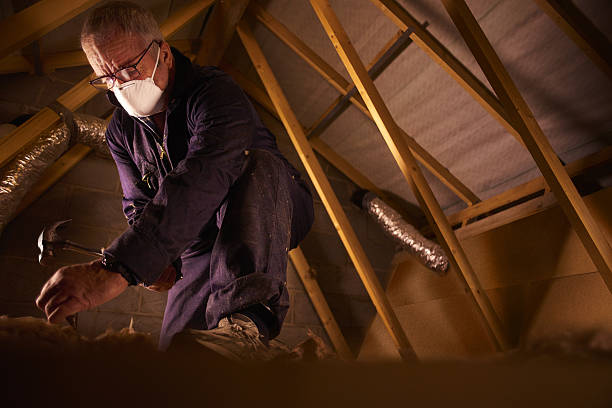 Best Home Insulation Services  in Springmont, PA